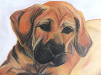 Golda